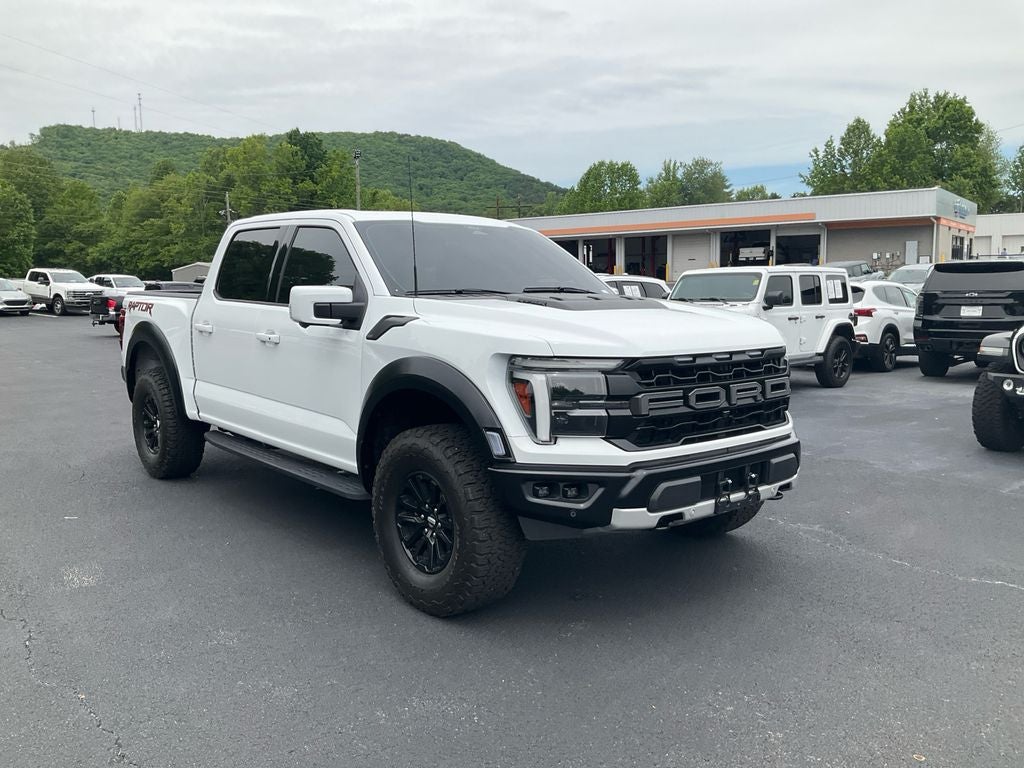 2024 Ford F-150 — rear three-quarter view